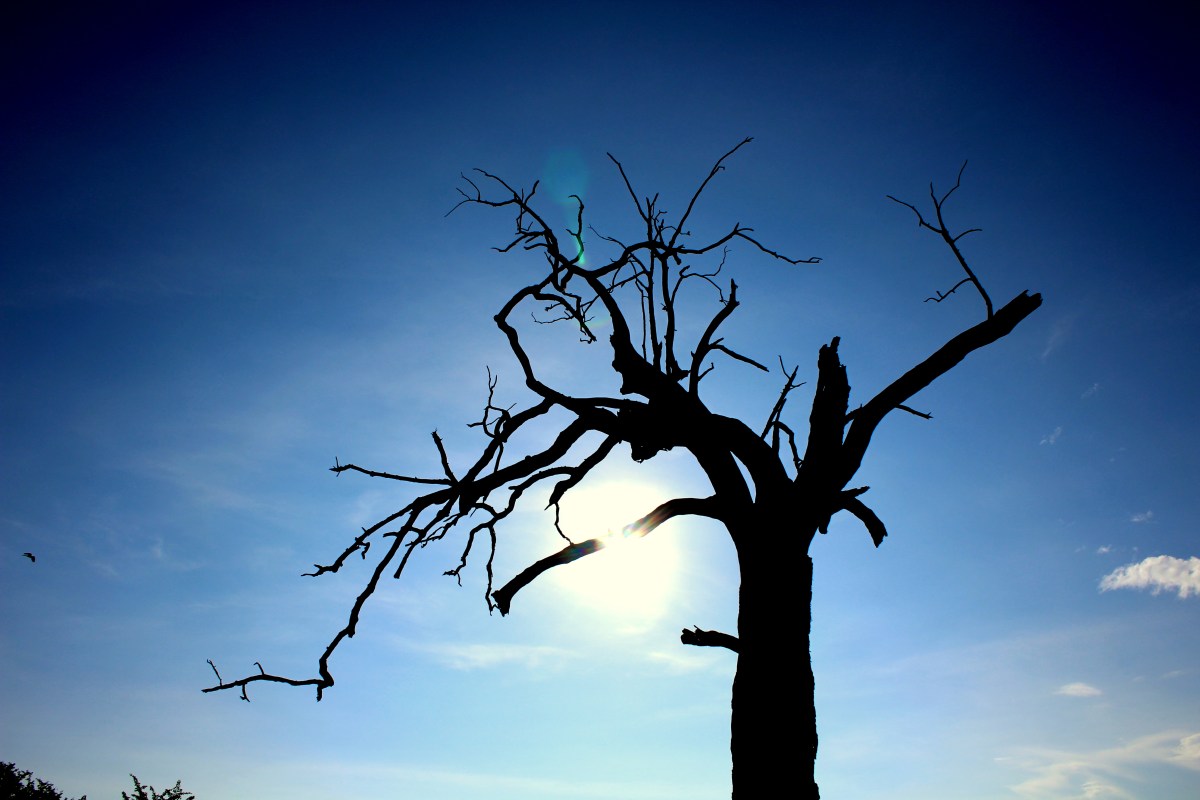 January 2021 Music&nbsp;Roundup