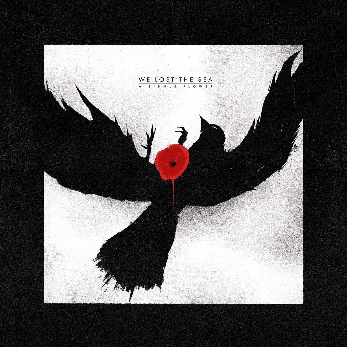 Albums of the year&nbsp;2025